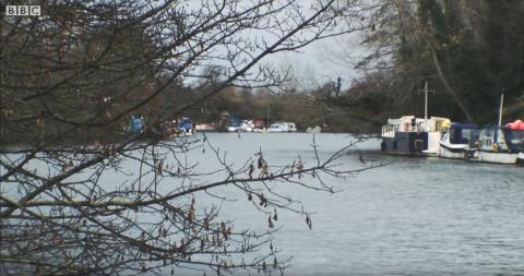 Photo of the River Thames near Hampton Court